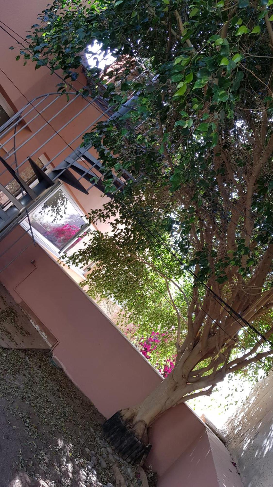 Strelitzia Park Aparthotel ซานมิเกลเดียโบนา ห้อง รูปภาพ